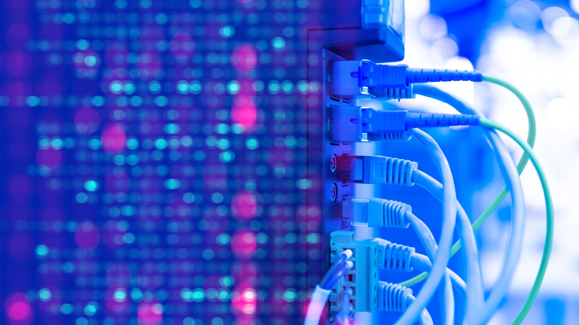 Network equipment. Wires connect equipment. Network hardware. Equipment for system administrator. Structured cabling systems. Network switch close up. Data storage and transmission. Server router Network equipment. Wires connect equipment. Network hardware. Equipment for system administrator. Structured cabling systems. Network switch close up. Data storage and transmission. Server router